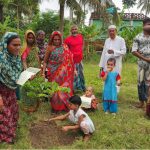 ‘ককরোচ’রা যখন হাঁটে: দক্ষিণ এশিয়ার তরুণ বিদ্রোহ, অদৃশ্য রাষ্ট্র ও রাজনীতির নতুন ভাষা