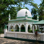 ‘ককরোচ’রা যখন হাঁটে: দক্ষিণ এশিয়ার তরুণ বিদ্রোহ, অদৃশ্য রাষ্ট্র ও রাজনীতির নতুন ভাষা